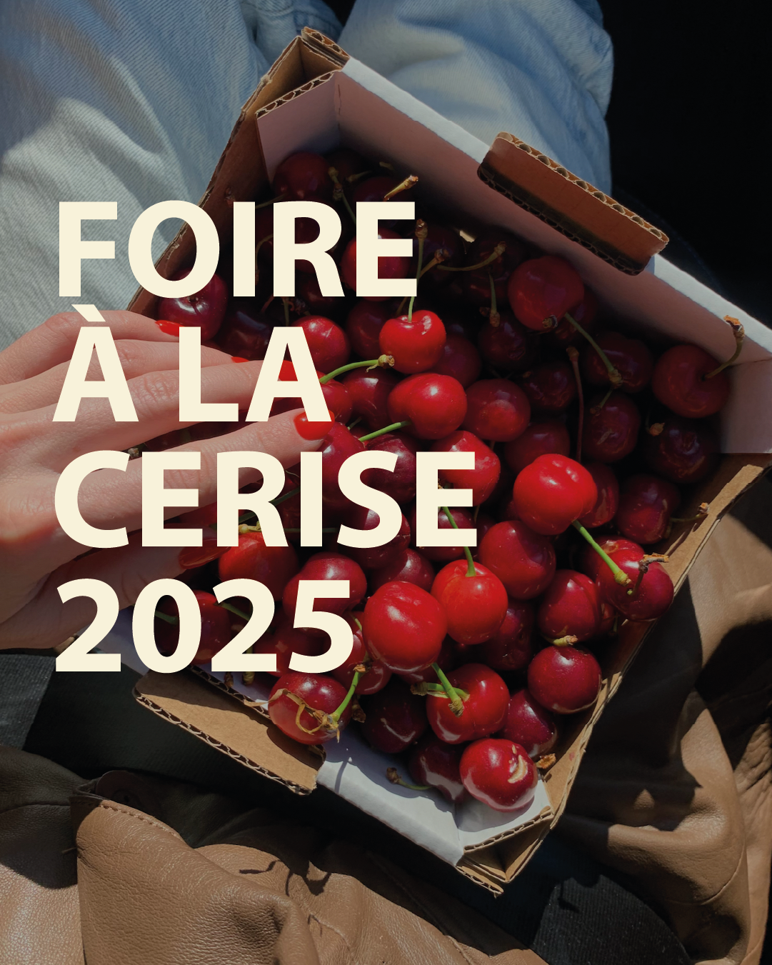 foire à la cerise 